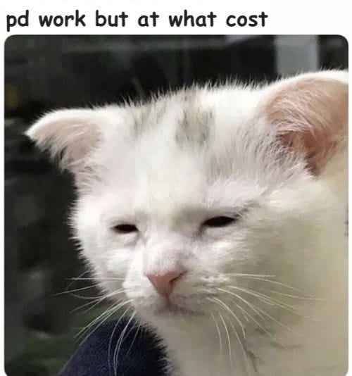 tired cat meme, overlayed text says: “pd work but at what cost?”